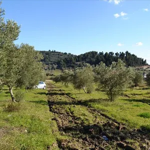 Земельный участок в Kassandra Municipality, фото 4