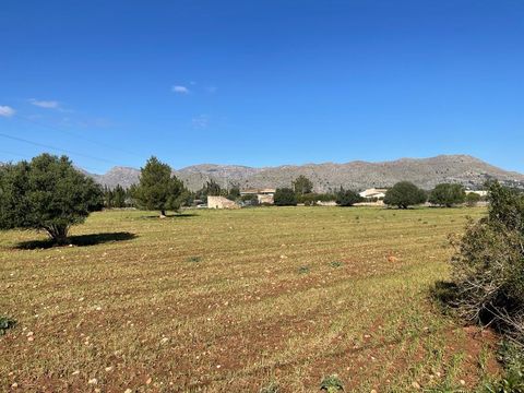 Земельный участок в Балеарские острова