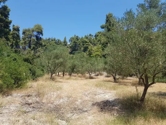 Земельный участок в Kassandra Municipality