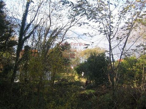 Земельный участок в Люта