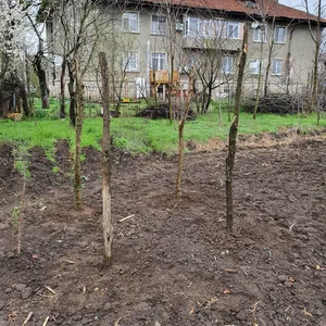 Земельный участок в Яломица , фото 4