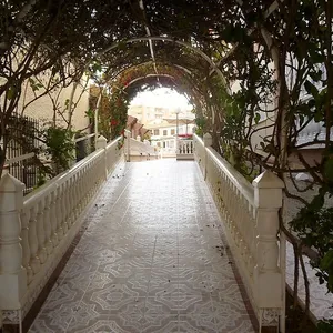 Квартира в Торревьеха, фото 5