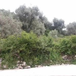 Земельный участок в Бар, фото 2