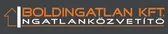 Boldingatlan Kft.