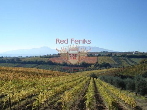 Земельный участок в Абруццо