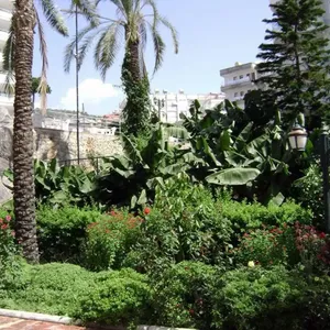 Дуплекс в Джикджилли, фото 3