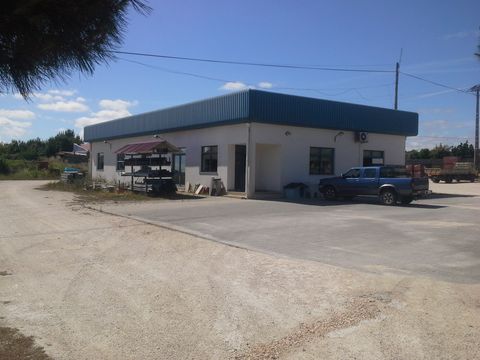 Коммерческая недвижимость в Коимбра