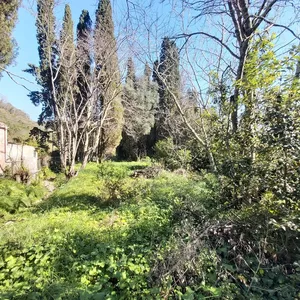 Земельный участок в Corfu, фото 4