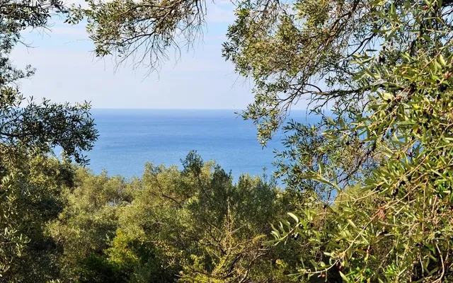 Земельный участок в Corfu