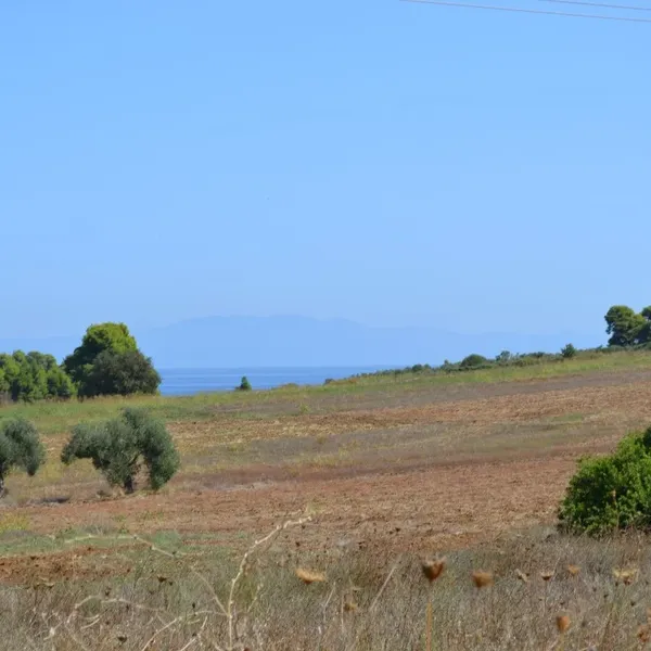 Земельный участок в Kassandra Municipality, фото 1