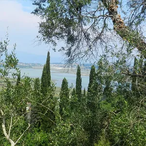 Земельный участок в Corfu, фото 3