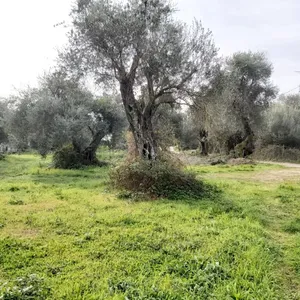 Земельный участок в Corfu, фото 2