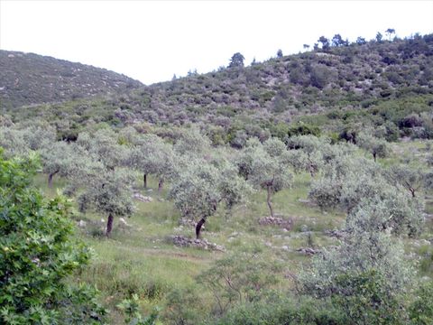 Земельный участок в Тасос