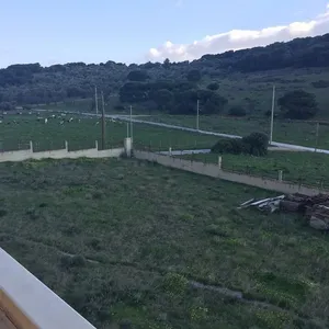 Отдельный дом в Anavissos Municipal Unit, фото 4