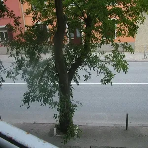 Квартира в Пула, фото 3