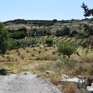 Земельный участок в Ancient Lappa, фото 3