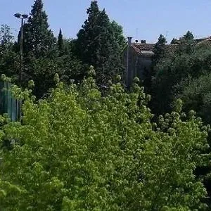 Квартира в Венеция, фото 4