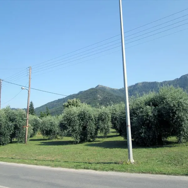 Земельный участок в Тасос, фото 1