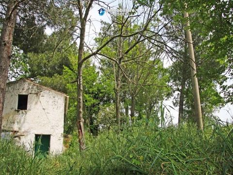 Коттедж в Пальмоли