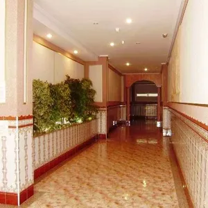 Пентхаус в Ла Мата, фото 3