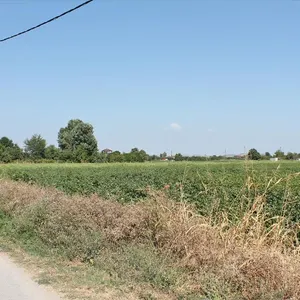 Земельный участок в Катерини, фото 5