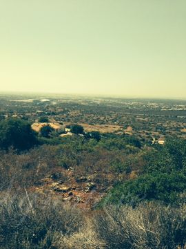 Земельный участок в Санта-Барбара-де-Неше