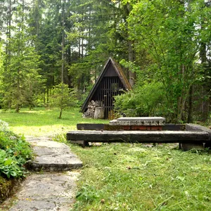 Шале в Ракитна, фото 4