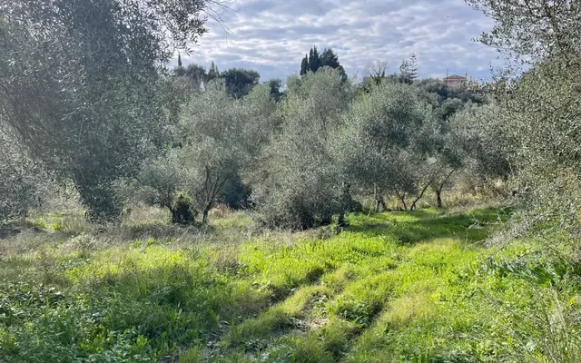 Земельный участок в Corfu