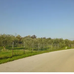 Земельный участок в Дион, фото 4