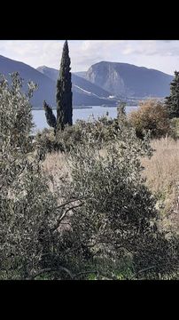 Земельный участок в Стон