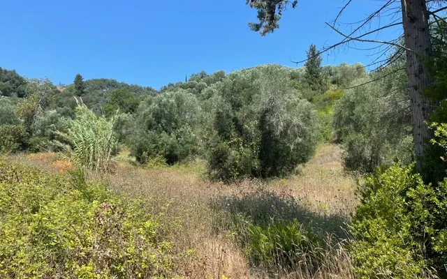 Земельный участок в Corfu