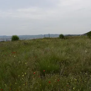 Земельный участок в Polichni Municipal Unit, фото 2