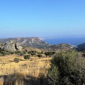 Земельный участок в Лампи/Ламби, фото 5