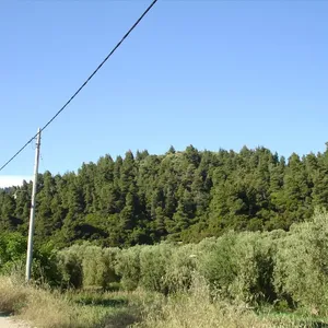 Земельный участок в Kassandra Municipality, фото 5