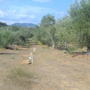 Земельный участок в Corfu, фото 4