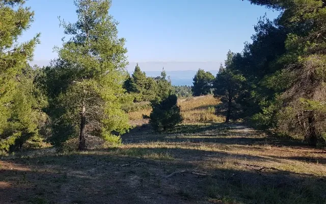 Земельный участок в Kassandra Municipality