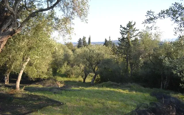 Земельный участок в Corfu
