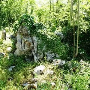 Земельный участок в Доброта, фото 5
