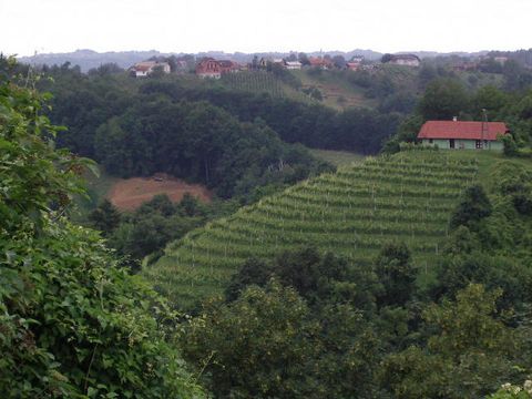 Коммерческая недвижимость в Птуй