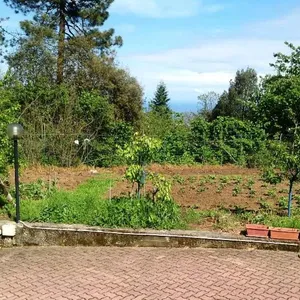 Отдельный дом в Сан-Ремо, фото 3