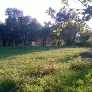 Земельный участок в Кавач, фото 4
