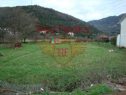 Земельный участок в Зеленика