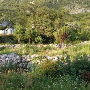 Земельный участок в Сутоморе, фото 5