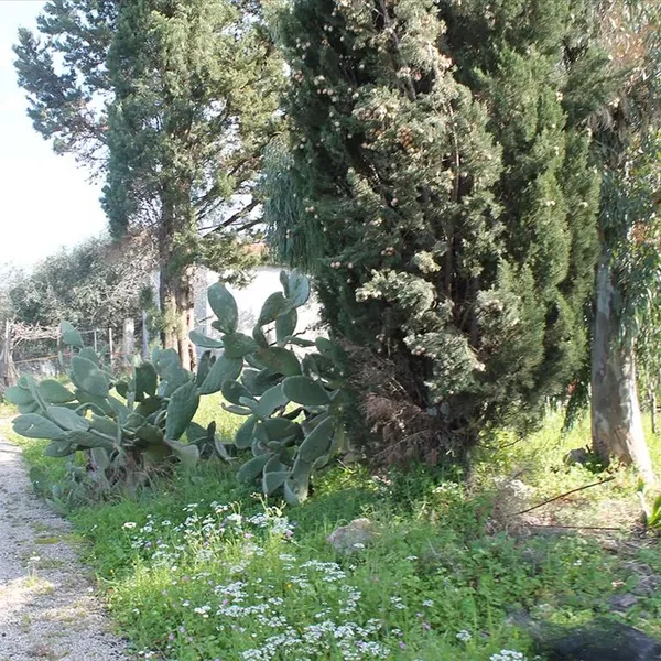 Земельный участок в Corfu, фото 1