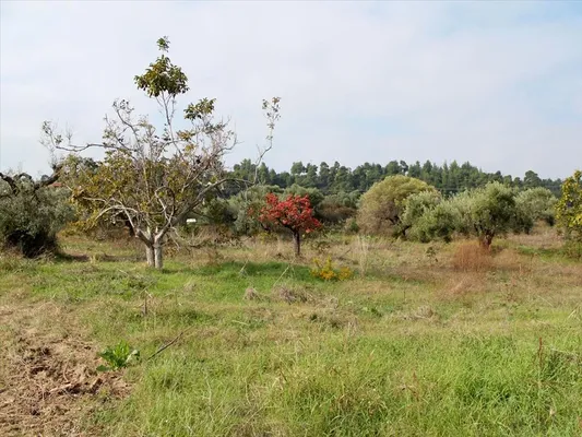 Земельный участок в Kassandra Municipality