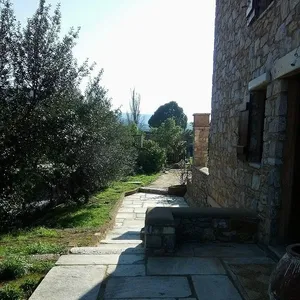 Отдельный дом в Коропи, фото 4
