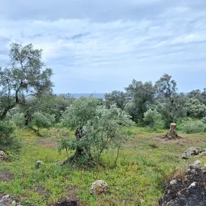 Земельный участок в Corfu, фото 2