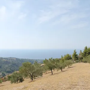 Земельный участок в Kassandra Municipality, фото 3