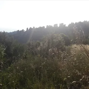 Земельный участок в Ситониа, фото 3