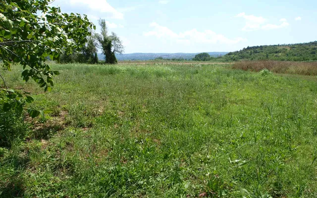 Ферма в Анкаран